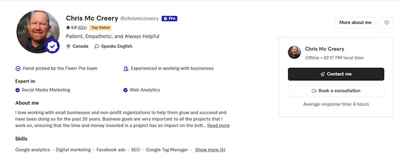 Fiverr pro profile example